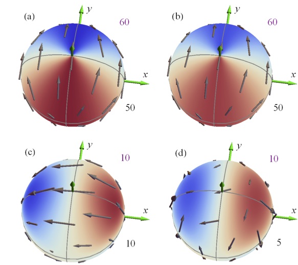 Spin-orbit Torques in CoPt Multilayers