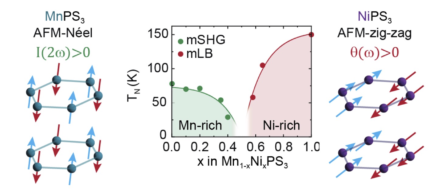 Excitons in van der Waals antiferromagnetic phosphates and phosphites
